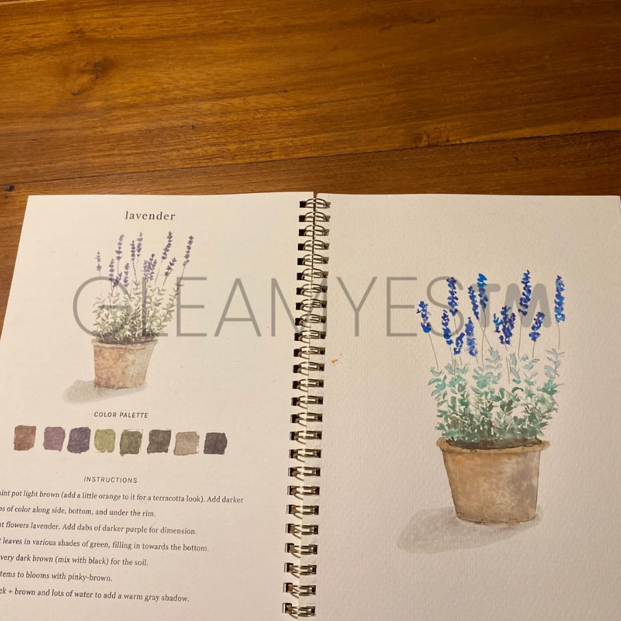 Review by Isabel